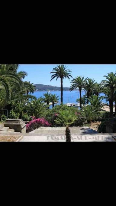 Le Dyonisos Et Piscine Apartment La Seyne-sur-Mer Exterior photo