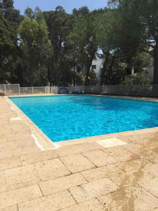 Le Dyonisos Et Piscine Apartment La Seyne-sur-Mer Exterior photo